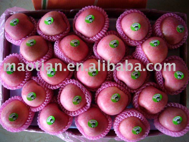 Sell Yantai Produced Red Fuji Apples
