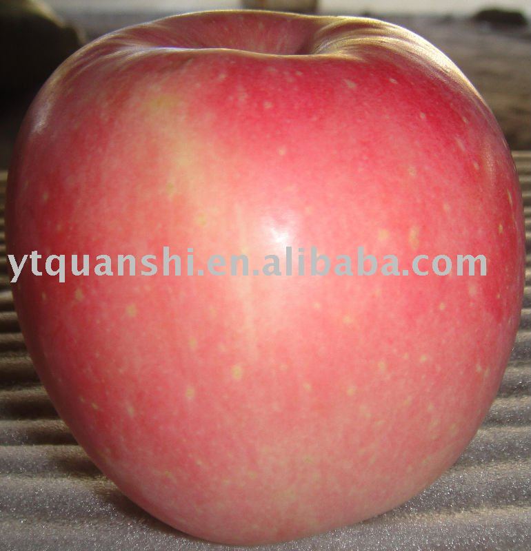 fuji apple