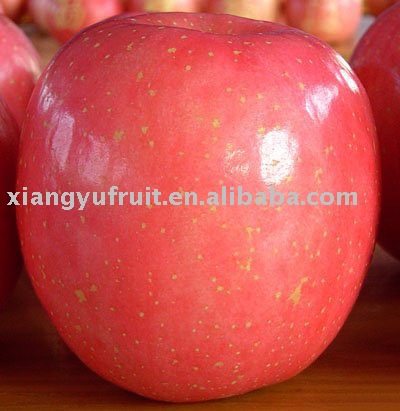 large fuji apple