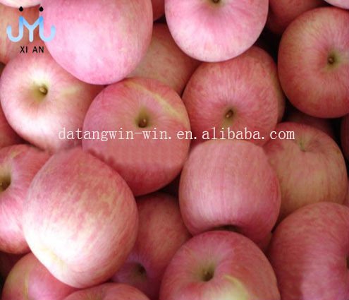 fuji apple