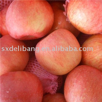 fresh apple