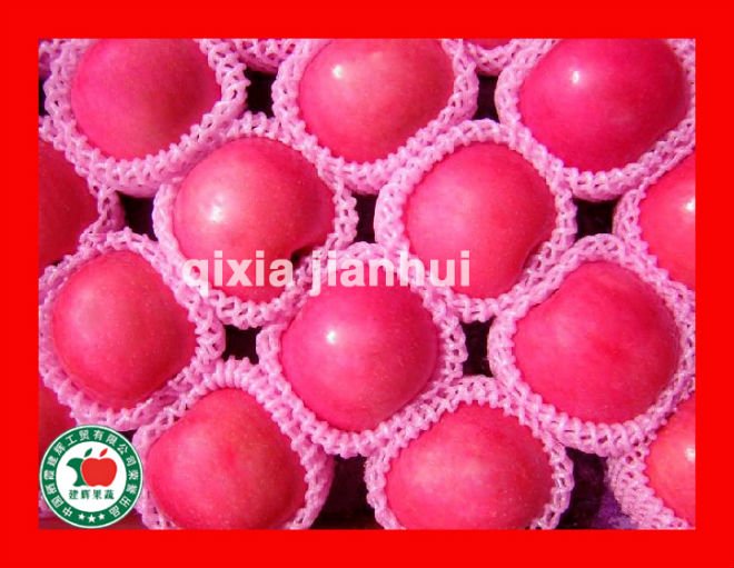 Chinese red apple of high quality and surprise price