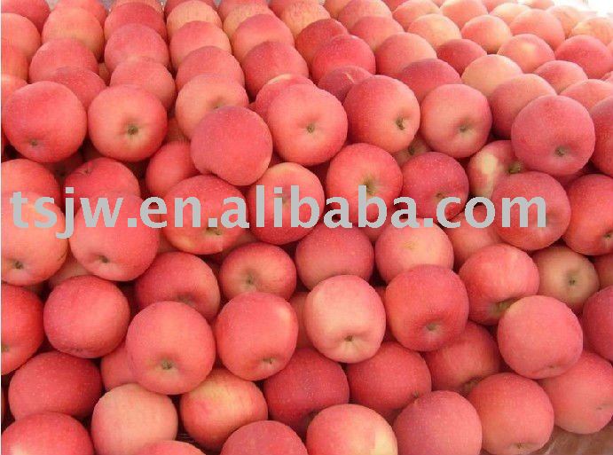 juicy fresh apple