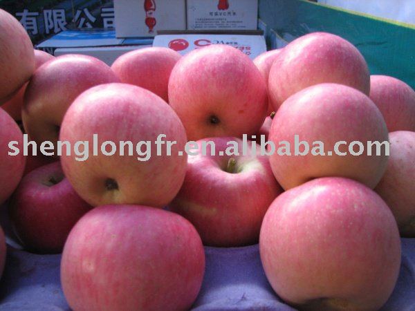 Delicious Fuji Apple from Shaanxi,China
