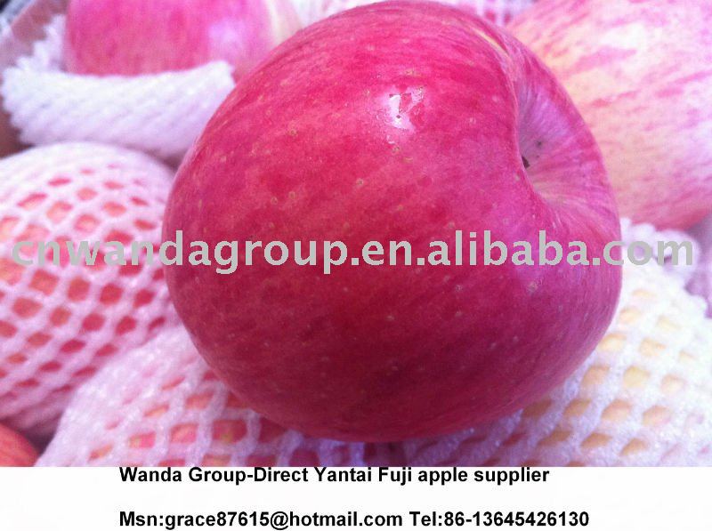2011 Chinese Yantai Qixia fresh red Fuji apple direct supplier