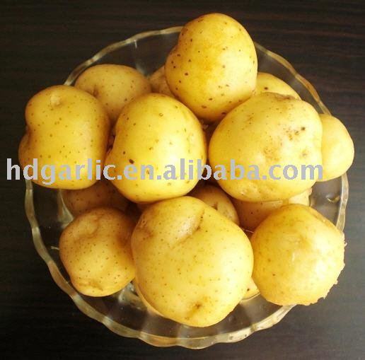 2011 atlantic potato