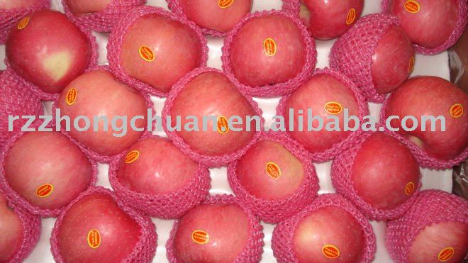 Shandong Fresh Fuji Red apple