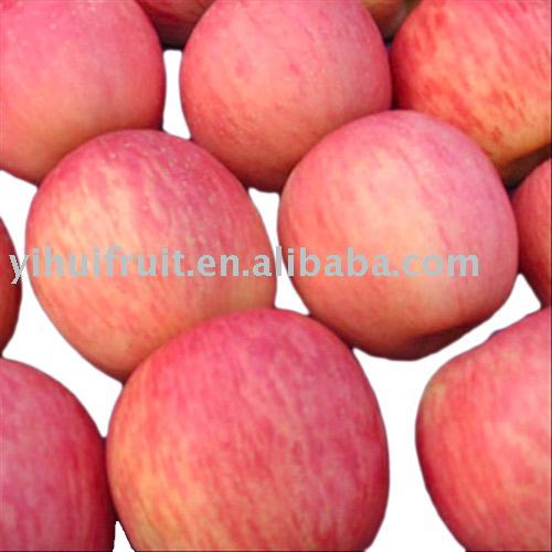 Red Fuji apple