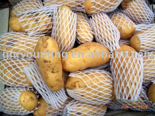 chinese  Potato