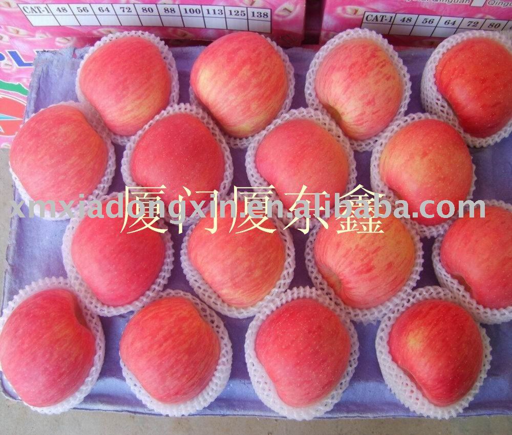 red chinese sweet fuji apple
