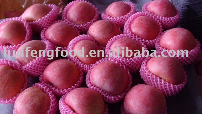 2010  fresh red fuji apple shandong