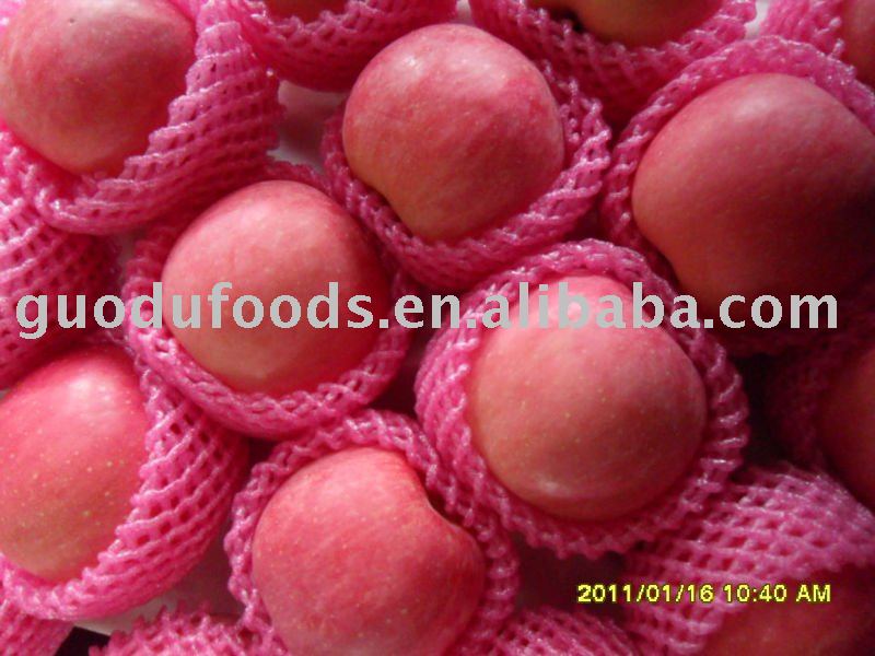fresh fuji apple