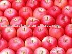 Royal Fresh Gala Apple