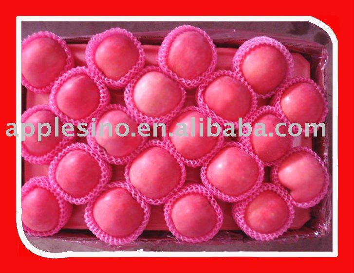Chinese Fresh fuji apples of shandong origin