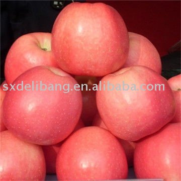 apple fruit