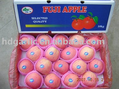 Chinese Fresh Red Apple