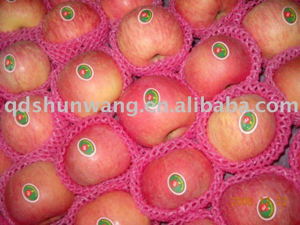 fuji apple