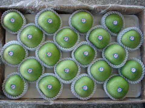 green gala Apple