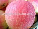 Royal Gala Apple