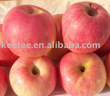 top sweet juicy fresh qixia red fuji apple
