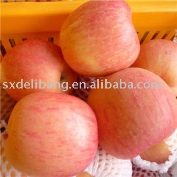 fresh red fuji  apple