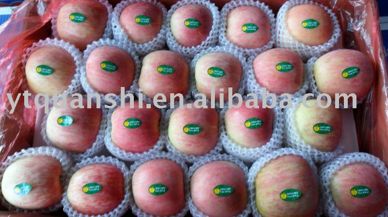 Fresh fuji apple