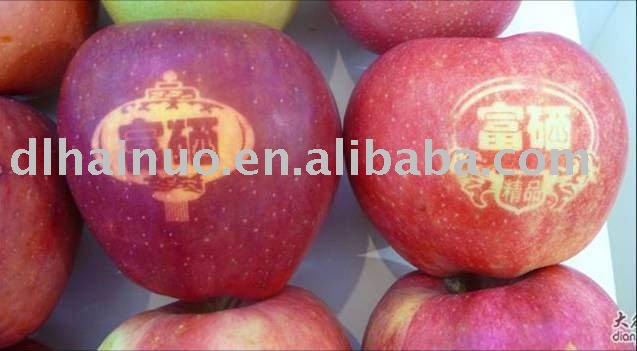 green  nutritious selenium-rich red  Fuji  apple