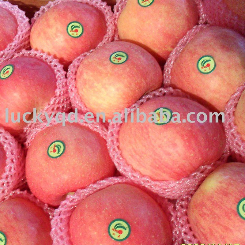 Red Fuji Crystal Apple