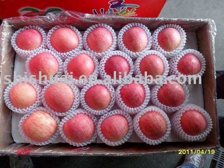 delicious fuji apples
