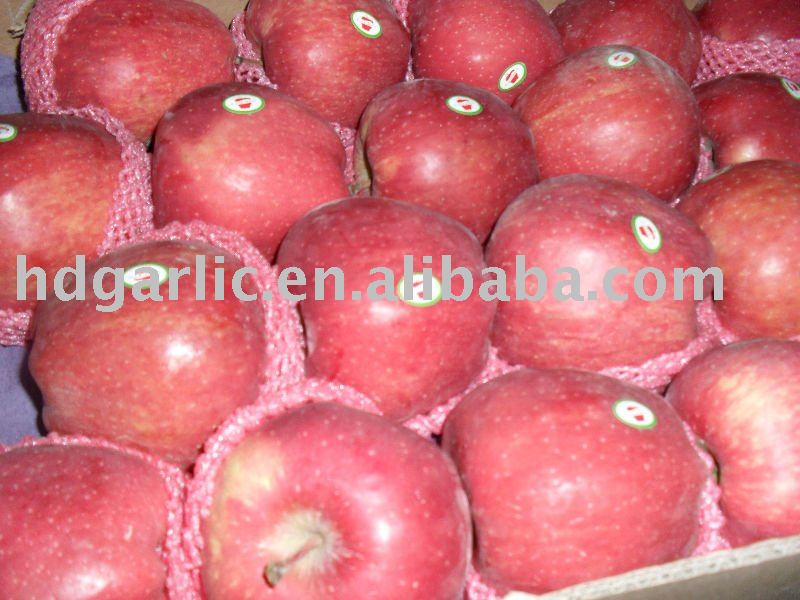 china red fuji apple