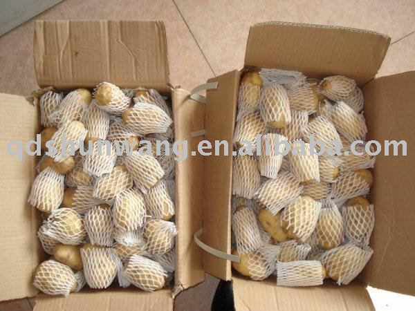 2011 top chinese fresh yellow potato