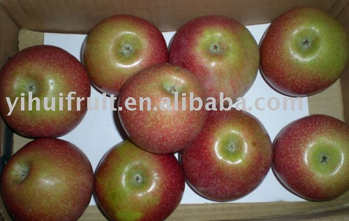 Qinguan apple