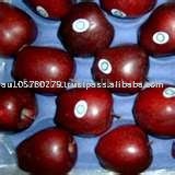 Red Delicious apple