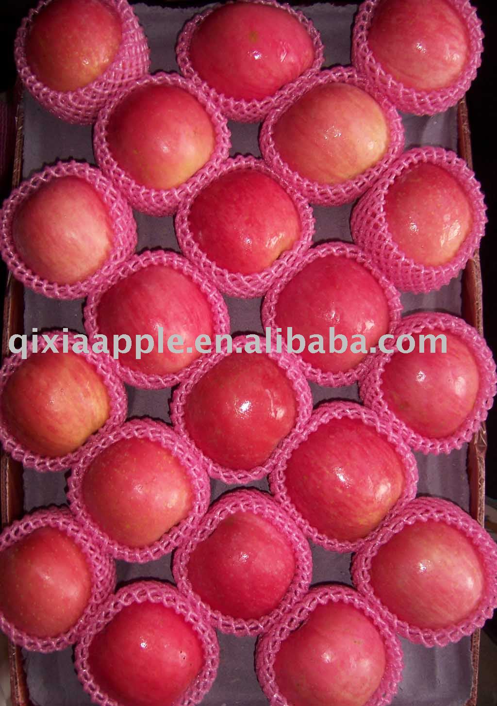 2010 red fresh delicious blush fuji apple