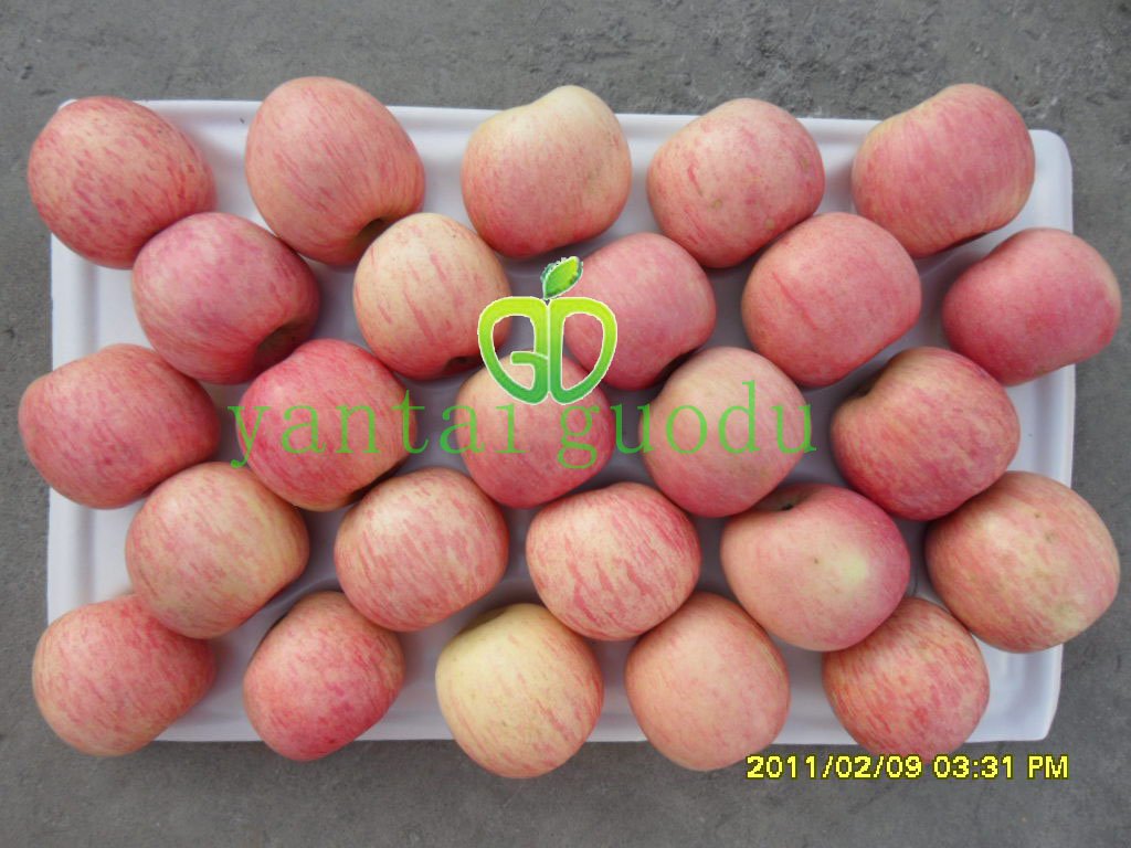 2010  red tasty fresh delicious fuji apple in yantai