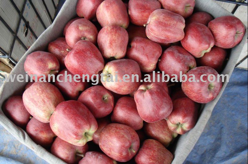 huaniu apple