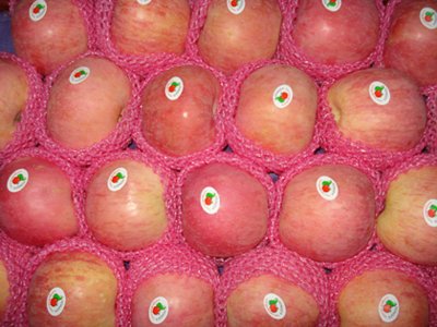 fresh apple
