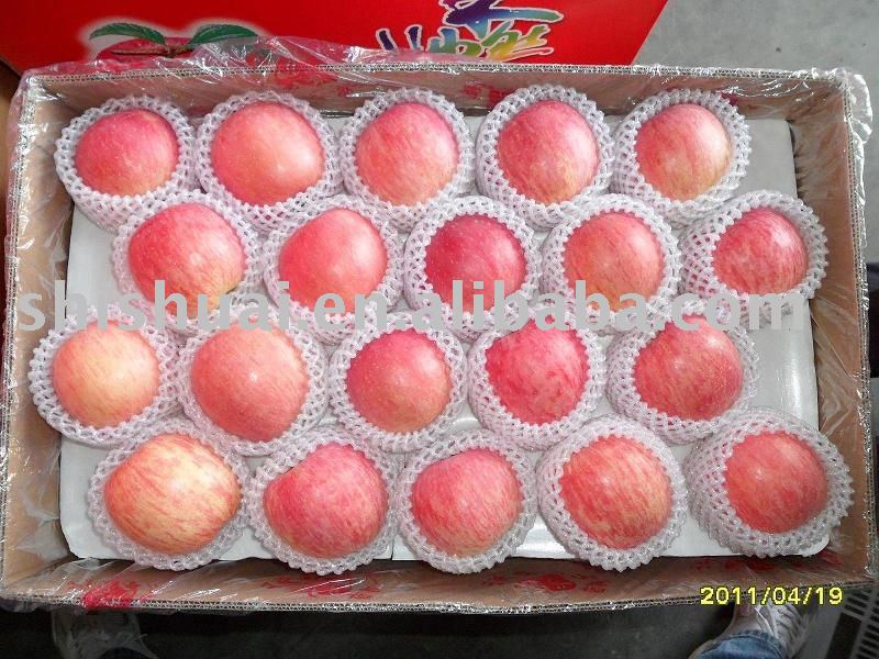 yantai  delicious fuji apples