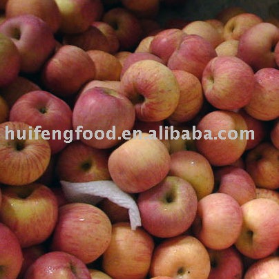 fresh good taste red fuji apple