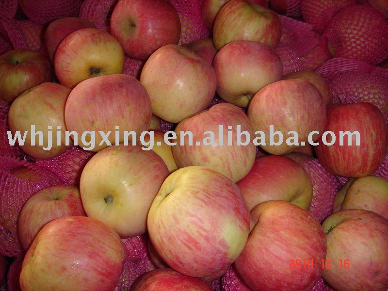 2011 Shandong Fresh Apples