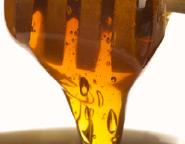 Organic Agave Syrup