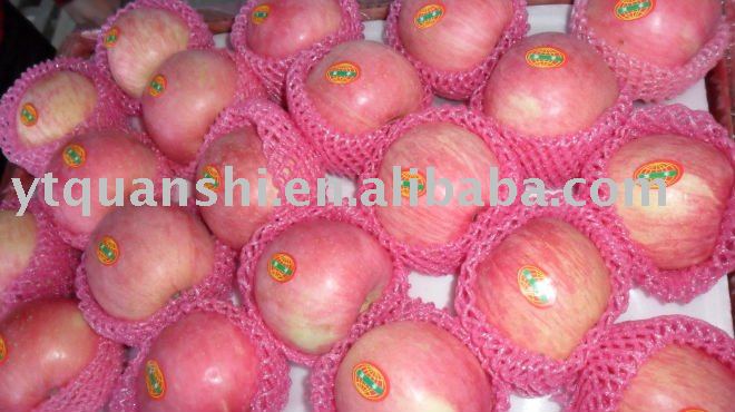 Fresh Apple