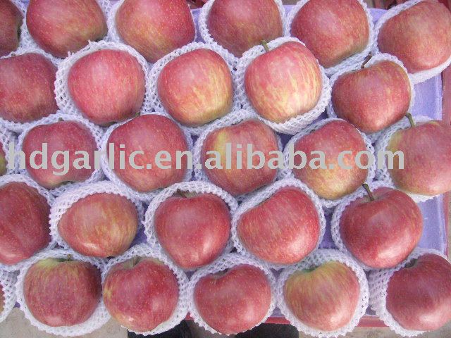 Chinese Red Sweet Apple