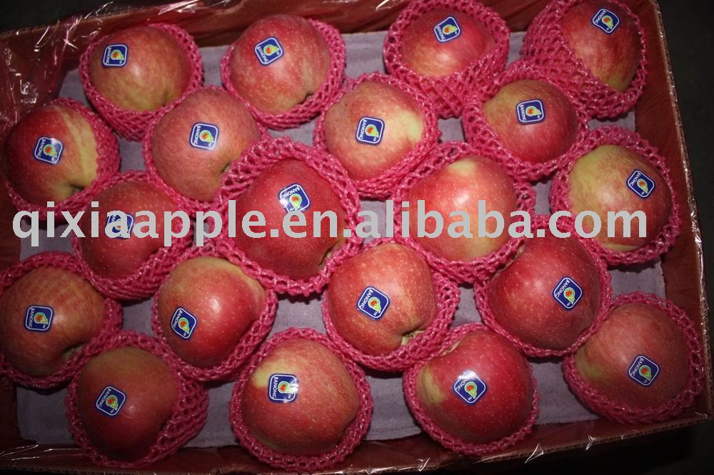 2010 red fuji apple fresh delicious