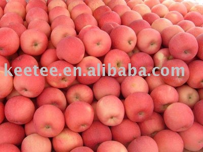 red fuji apple