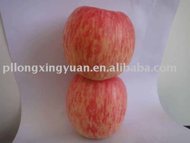 Fuji Apple