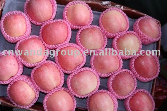 100/113/125/138 Chinese Yantai fresh red Fuji apple direct supplier