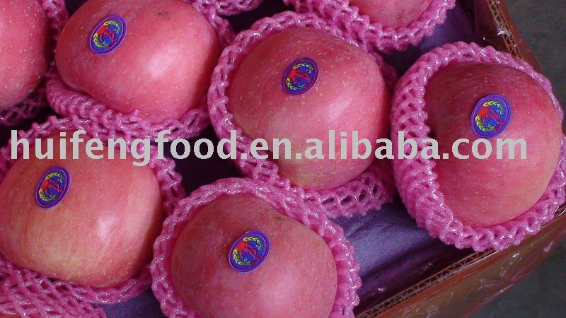 chinese delicious red fuji apple