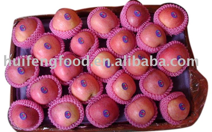 100% original Shandong fresh apple