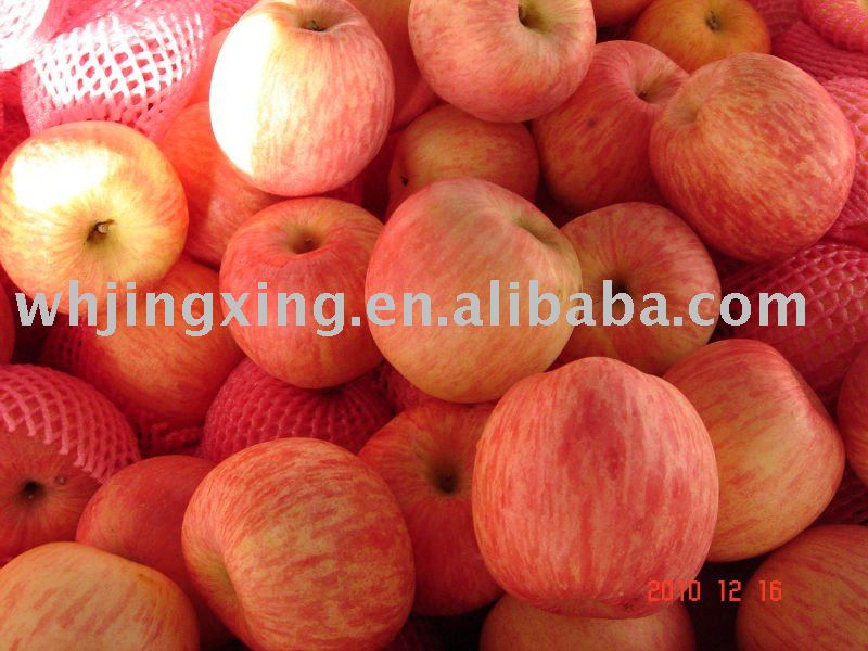 Shandong Fresh Fruit